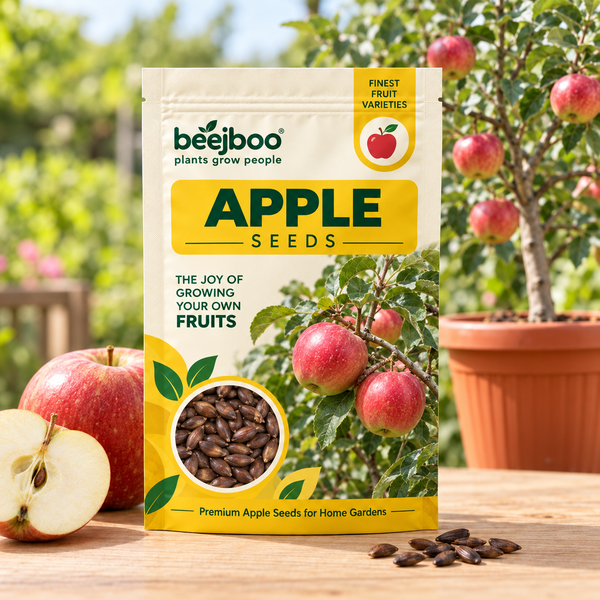 Apple Fruit Seeds