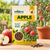 Apple Fruit Seeds