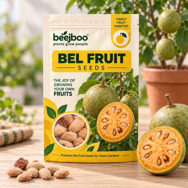 Bel Fruit Seeds