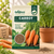 Carrot Vegetable Seeds