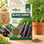 Black Carrot Vegetable Seeds