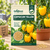 Capsicum Yellow Vegetable Seeds