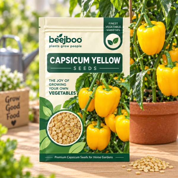 Capsicum Yellow Vegetable Seeds