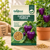 Capsicum Purple Vegetable Seeds