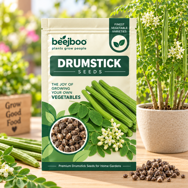 Drumstick Vegetable Seeds