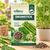 Drumstick Vegetable Seeds