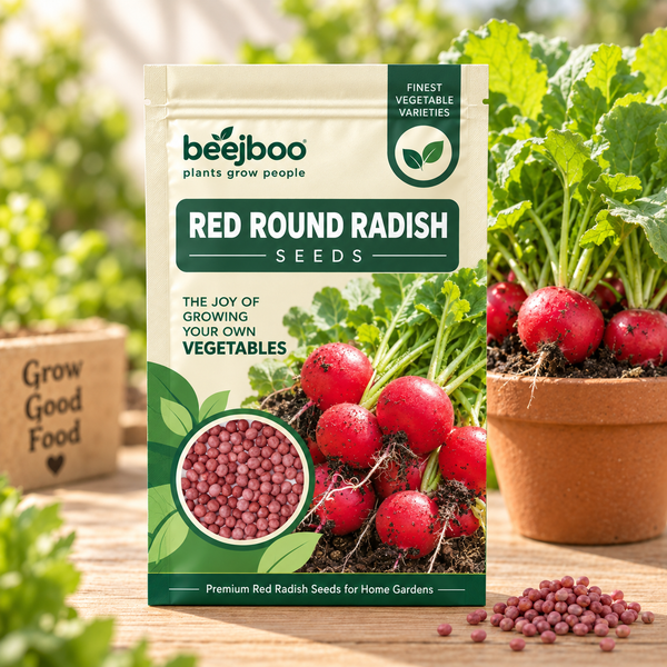 Red Round Radish Vegetable Seeds