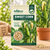 Sweet Corn Vegetable Seeds