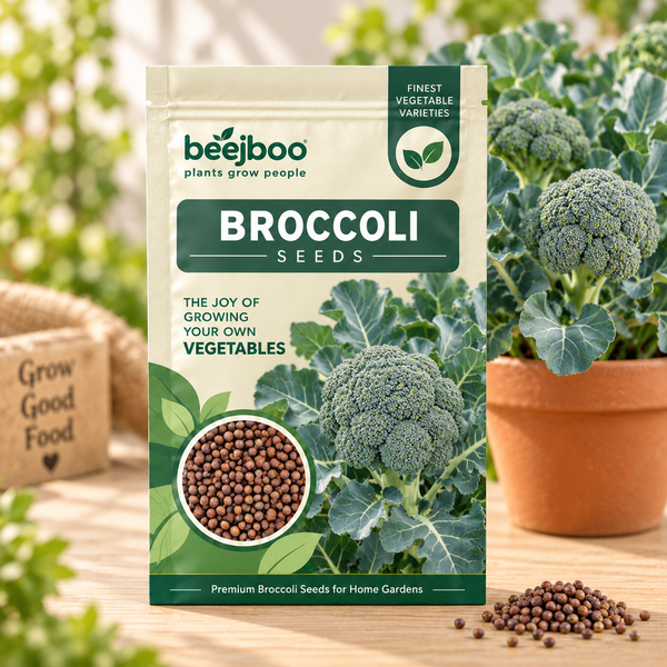Broccoli Vegetable Seeds